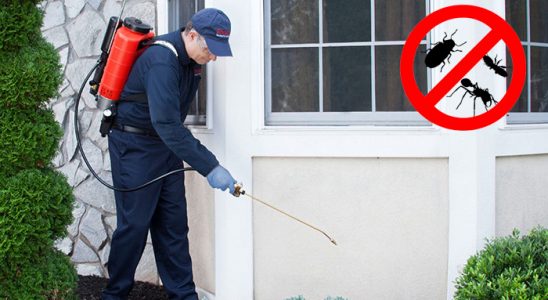 Kozan Kemirgen İlaçlama böcek ilaçlama ve haşere kontrolü — ilaclama-tr.com